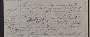 Documento do mês outubro